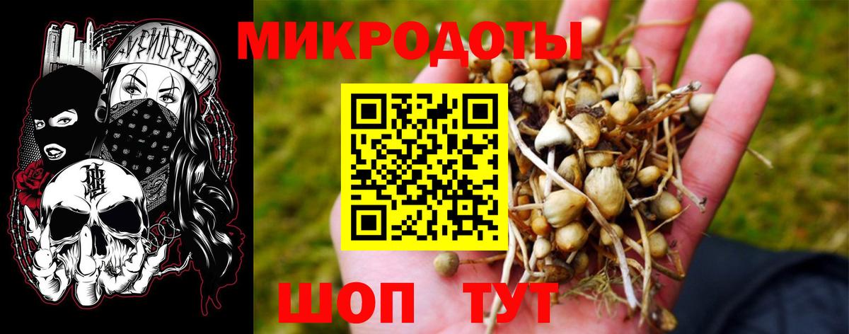 Орск  Галлюциногенные грибы Psilocybine cubensis  Вход с VPN  дарнет шоп  Псилоцибиновые грибы мицелий 